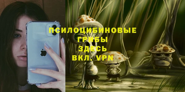 PSILOCYBIN Верея